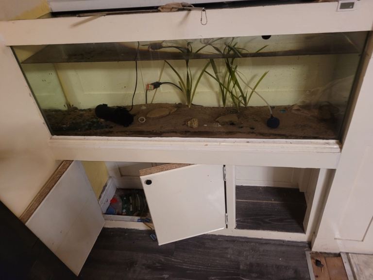 Large fish tank with two fish’s 