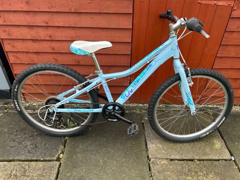 Giant Liv Arriva Girls mountain bike