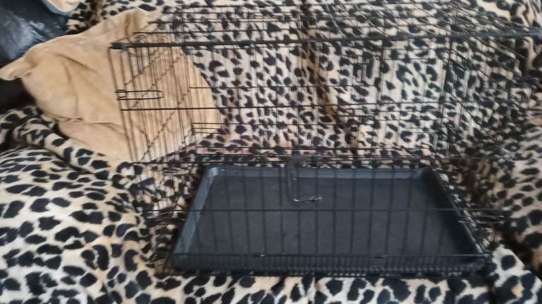 Dog crate black metal two doors length 30 by 19 by 21 good condition £25