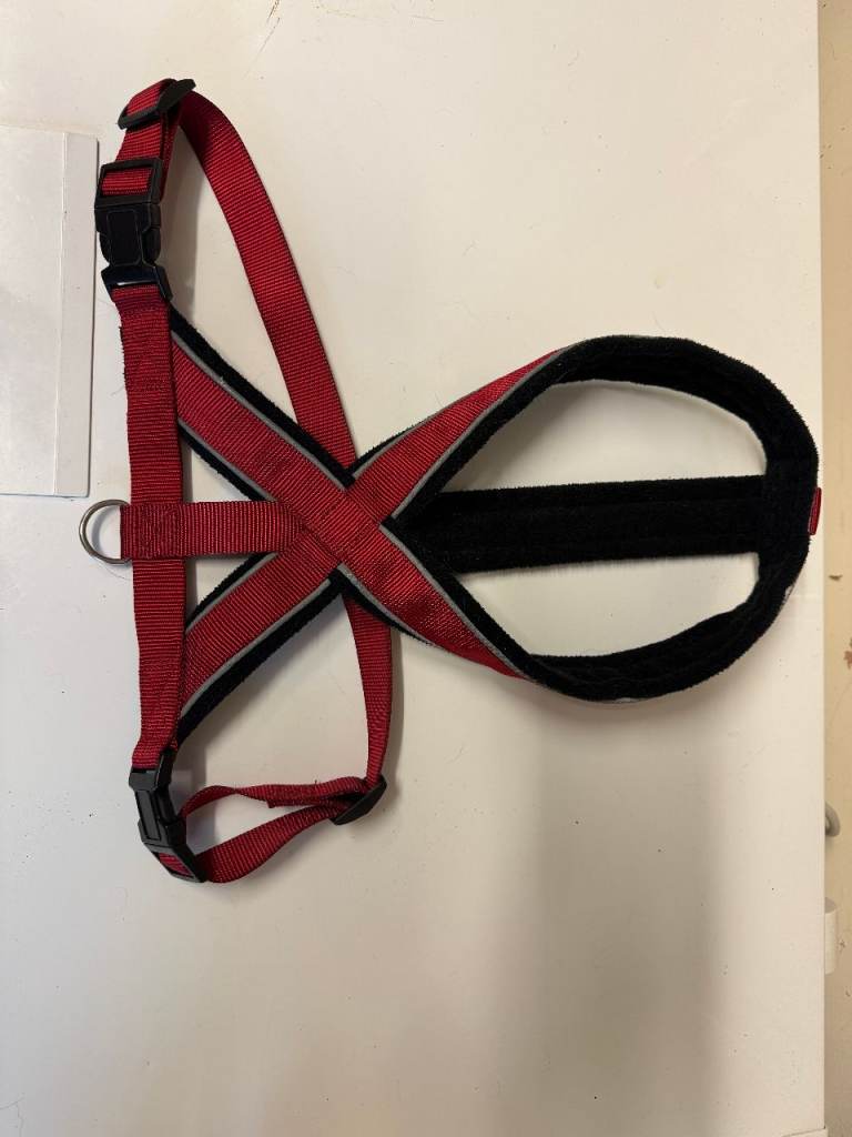 Red & Black Dog Harness Large