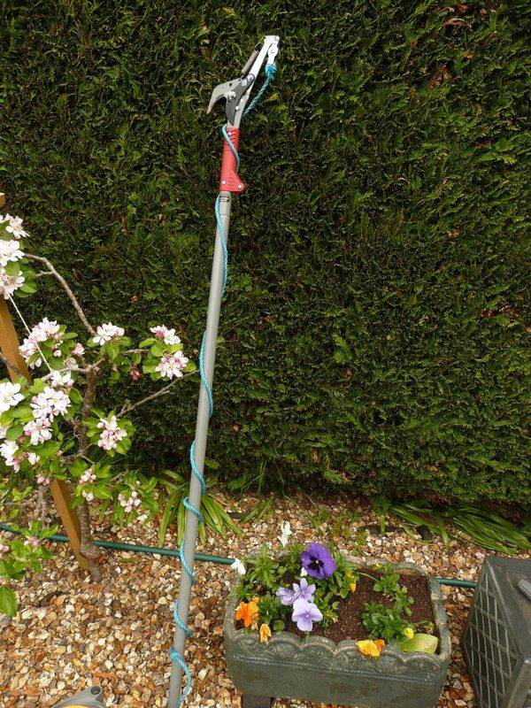 Long reach lopper with saw blade