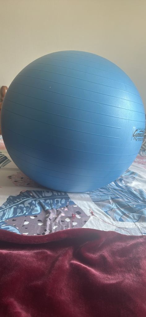 Blue Swiss Ball / Exercise Ball – Good Condition