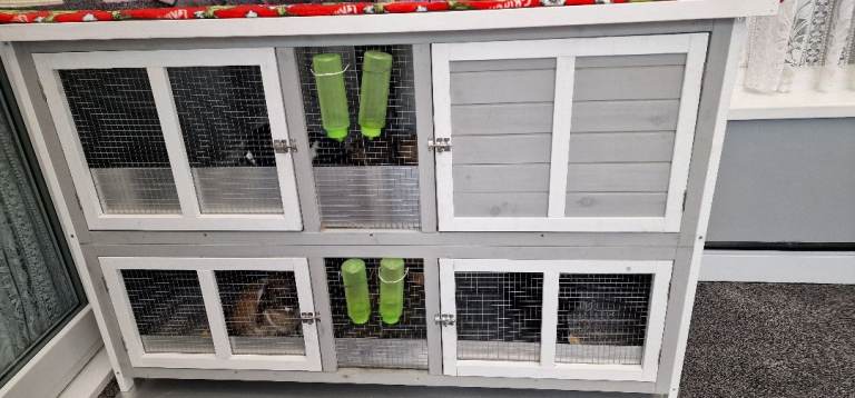 RABBIT HUTCH NEW,CUSTOMISED INSIDE