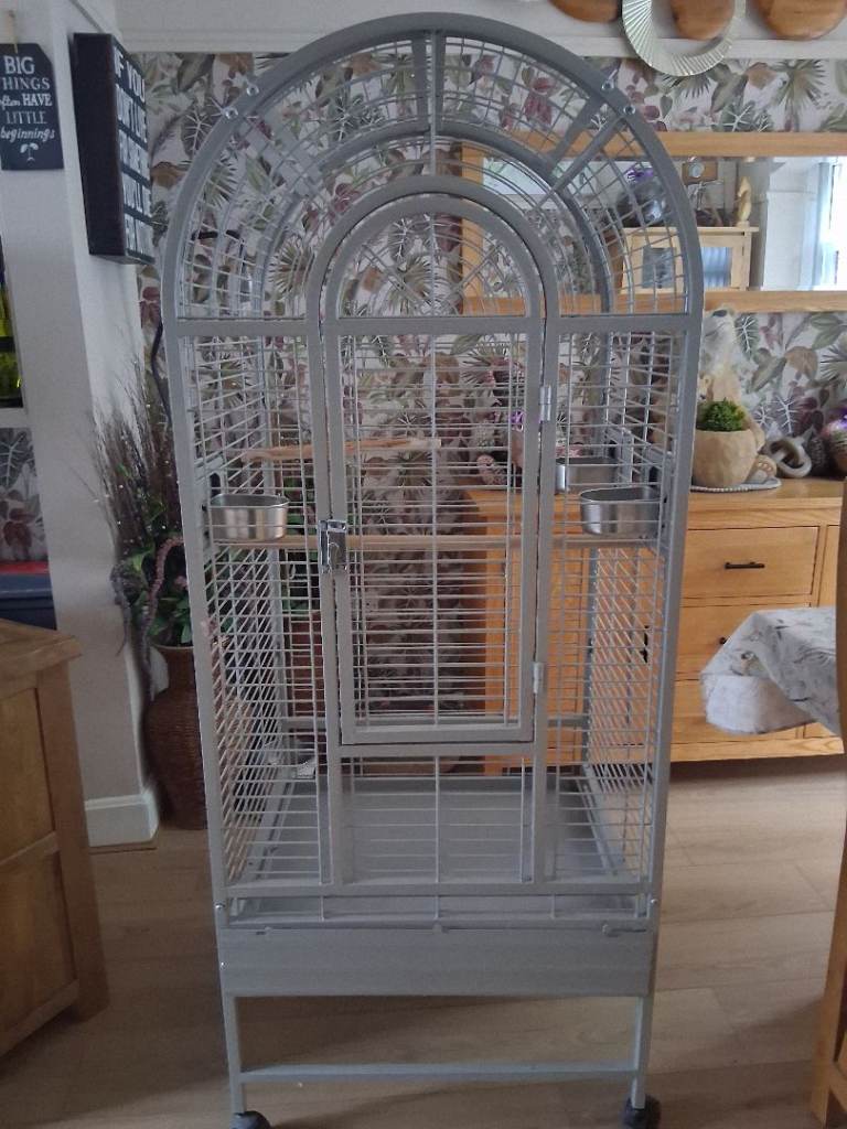 Partot cage 