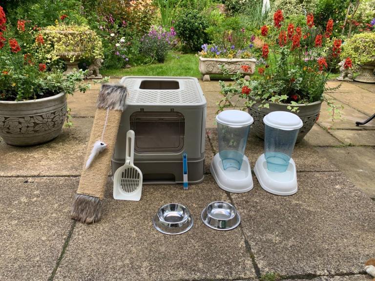 Cat supplies collection