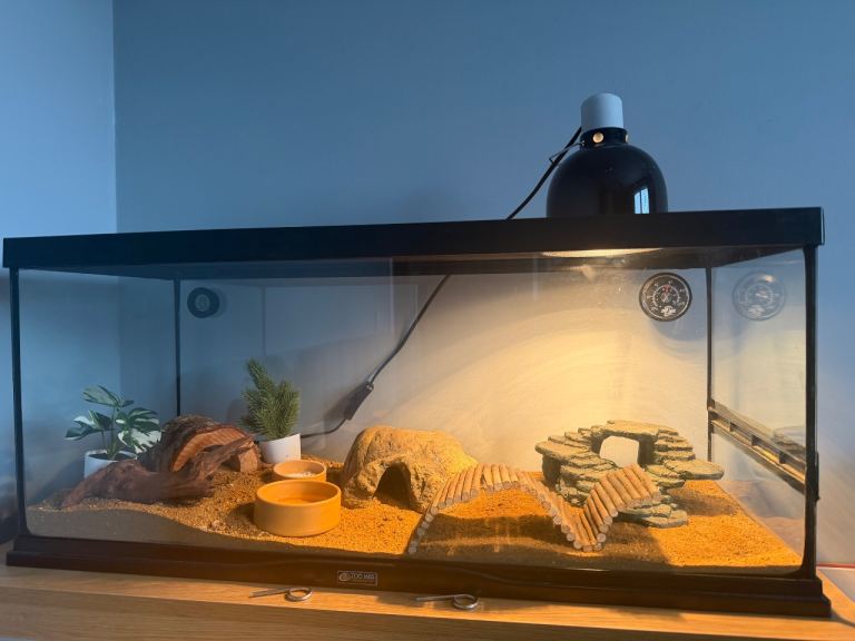 Reptihabit terrarium/vivarium 