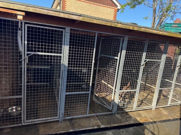 DOG/PUP/GALVANISED PENS 