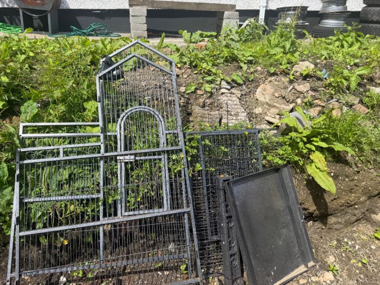 Bird cage 