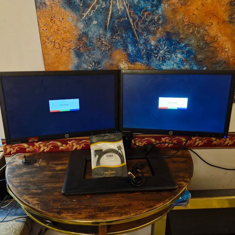 Professional H.P Dual Monitor Set up