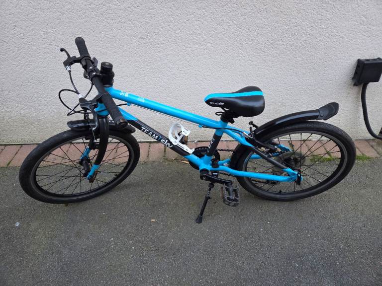 Frog 55 Team Sky Kids Bike