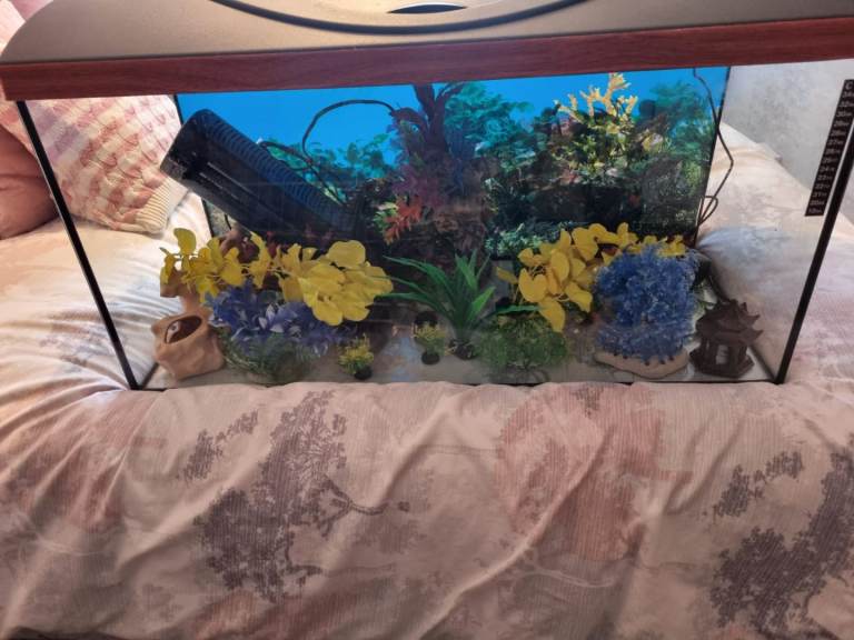 Fish Tank & accessories 