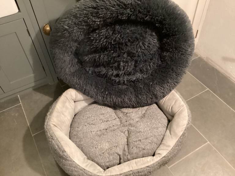 Two dog beds 