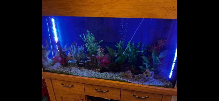 Large Fish Tank with Cabinet, Filter & Accessories