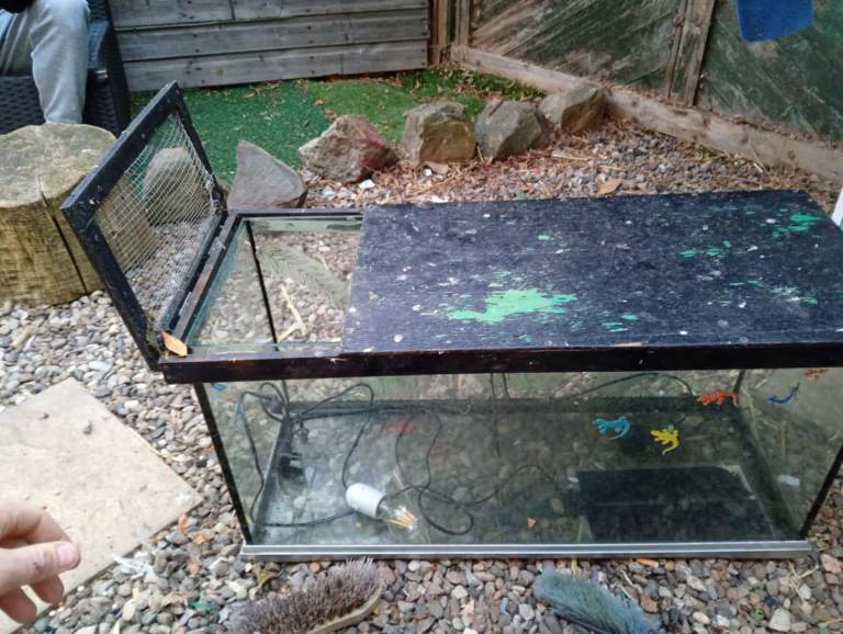 Reptile tank 