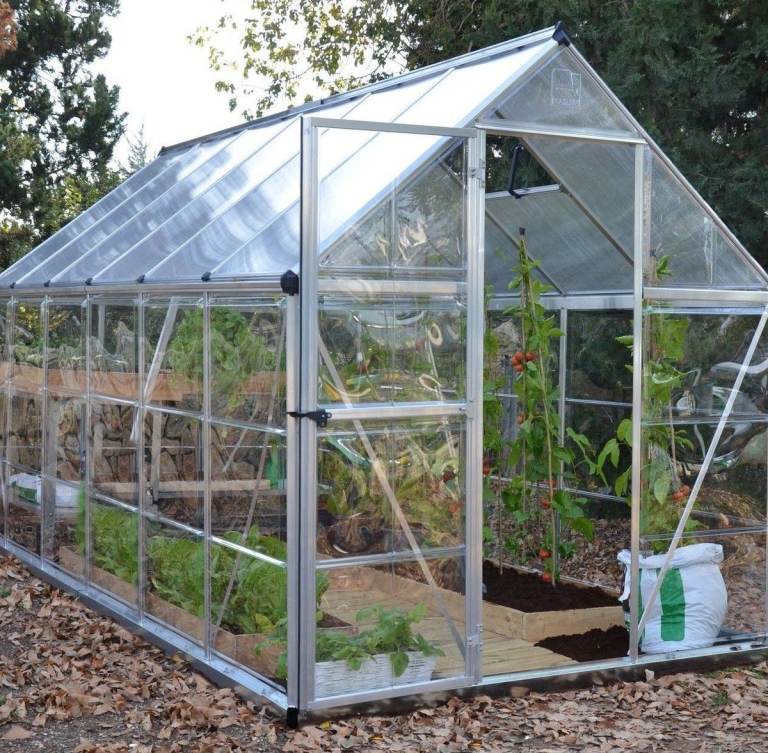 Wanted 6x8 greenhouse or bigger 