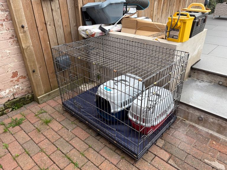 Large Dog cage. 