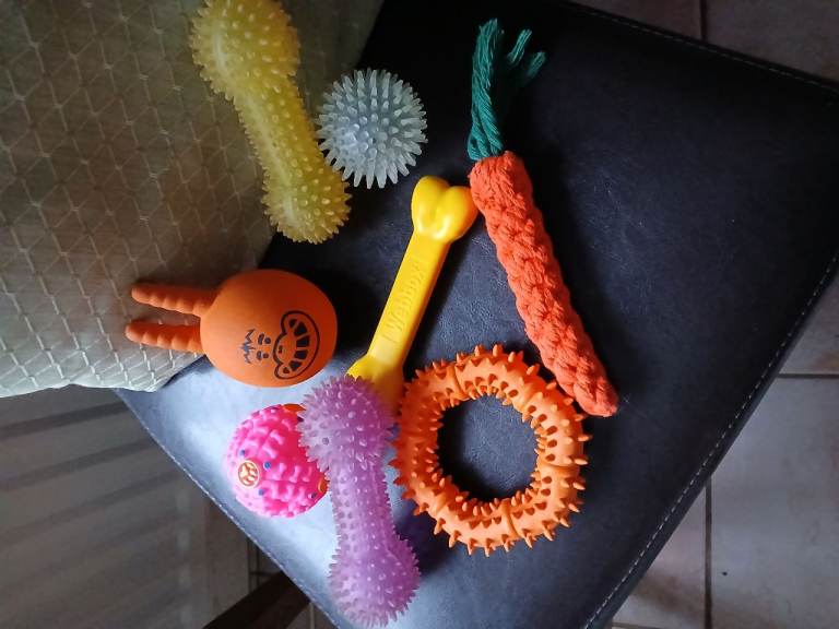 A bundle of small dog toys plus other items