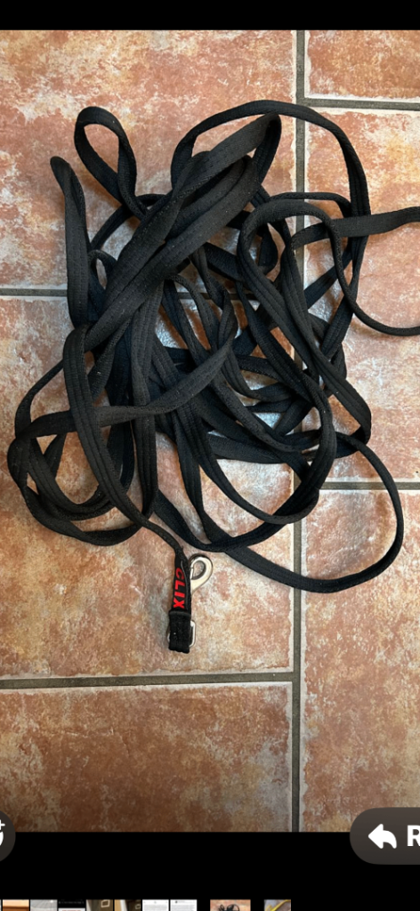 Long lead