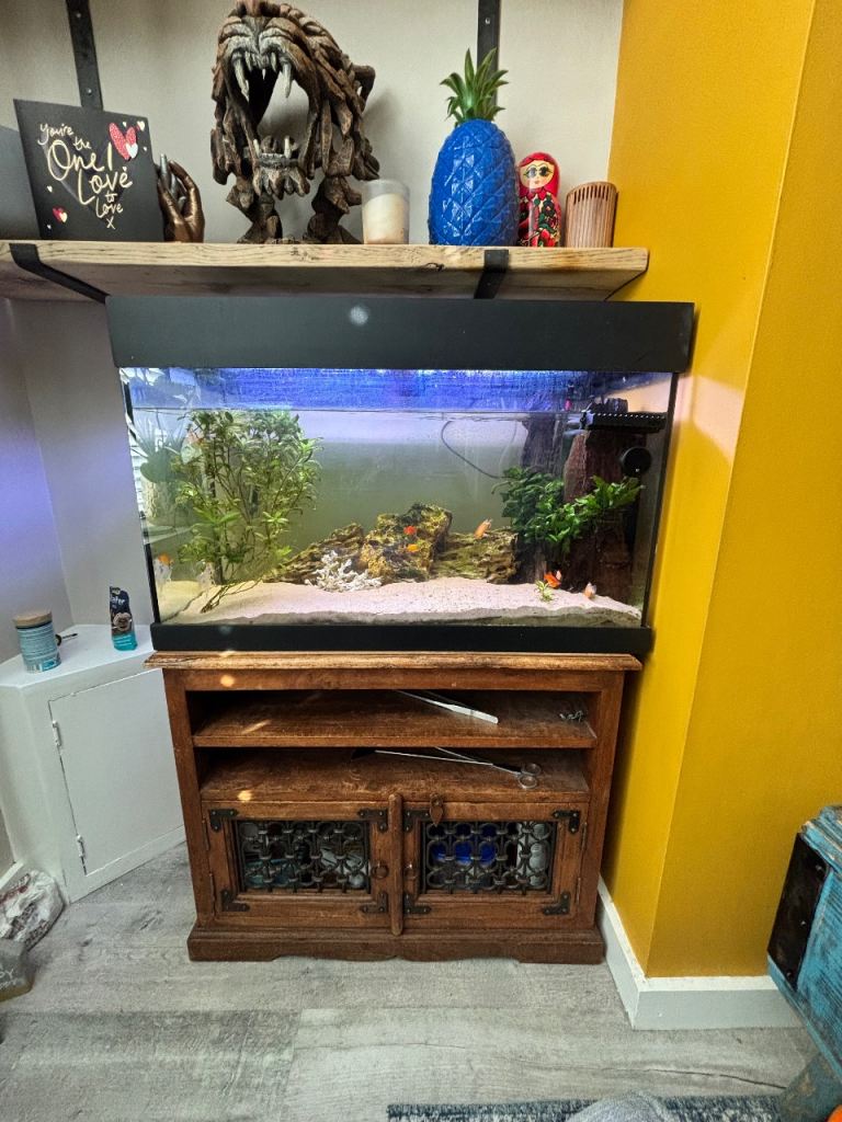 100 litre fish tank full setup and tropical fish 