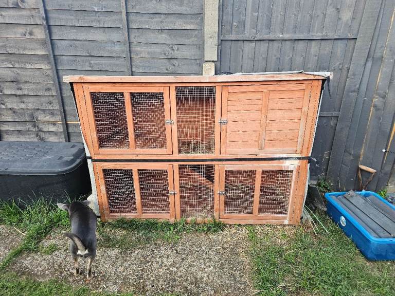 Two storey rabbit hutch