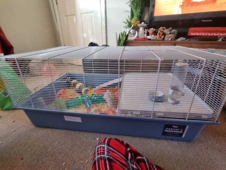 Large hamster cage