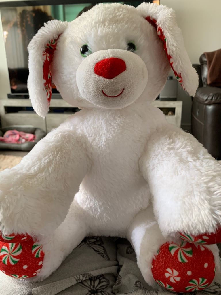 Teddies bundle 