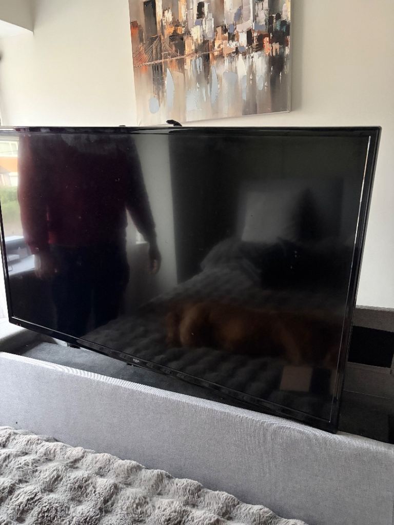 FREE TV