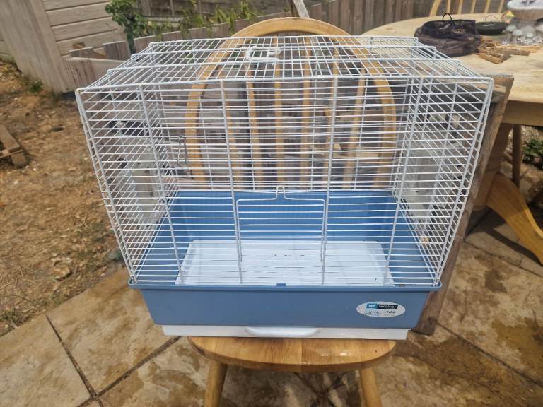 Bird cage 