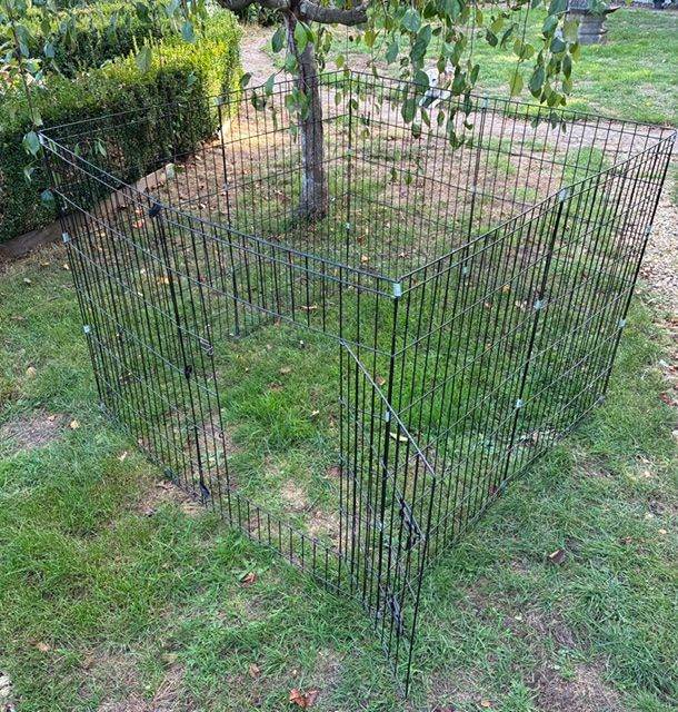 black metal pet pen 