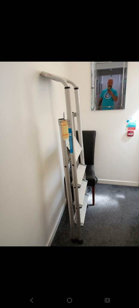 Professional Ladder – Amazing Condition