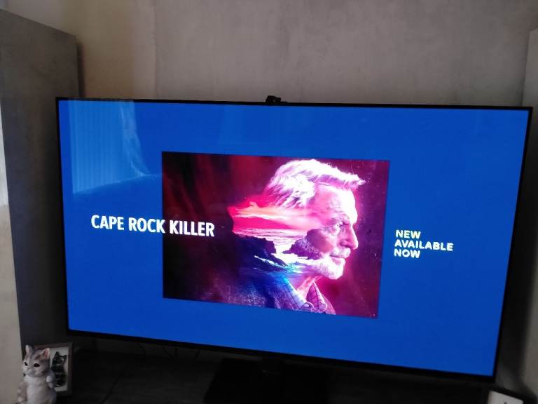 Sony bravia 8 oled tv