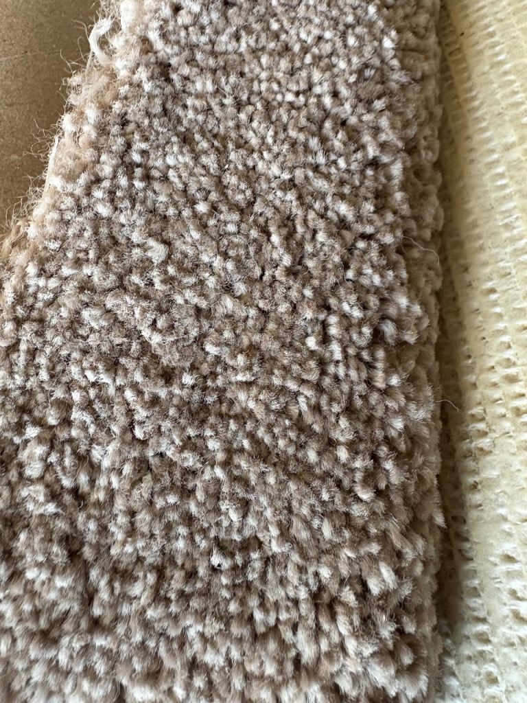 Carpet remnant 