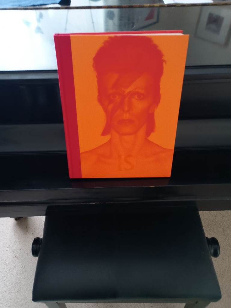 David Bowie is inside