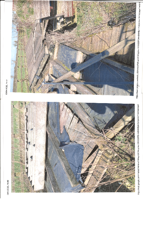 Timber firewood, cut, saw, chop as much as you can burn.