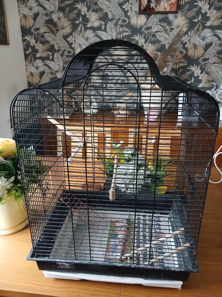 Bird cage 