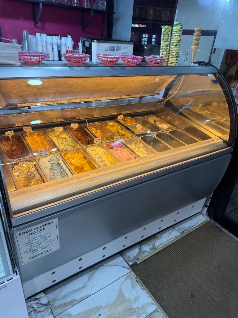 ISA Millennium 18 Tub Gelato / Ice Cream Display Freezer
