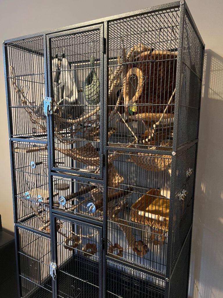 Large Standing Rat Enclosure / Brand New with All Accessories Included