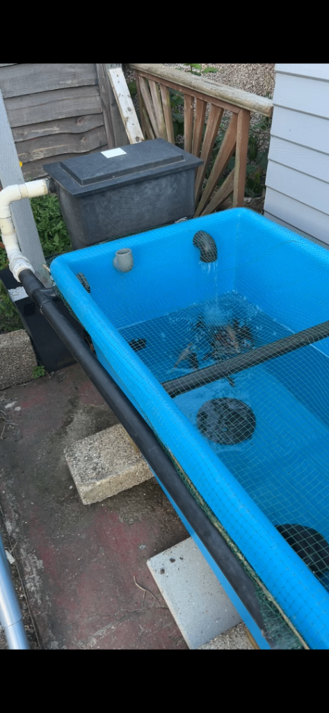 Large Blue Plastic Pond with Filter System – Ready to Go