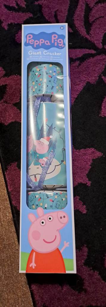 Bundle of childrens Christmas items new