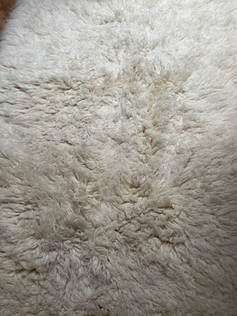 Wool Shaggy  rug