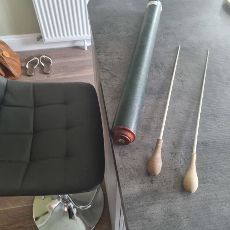 Pair of Wooden Conducting Batons with Protective Case