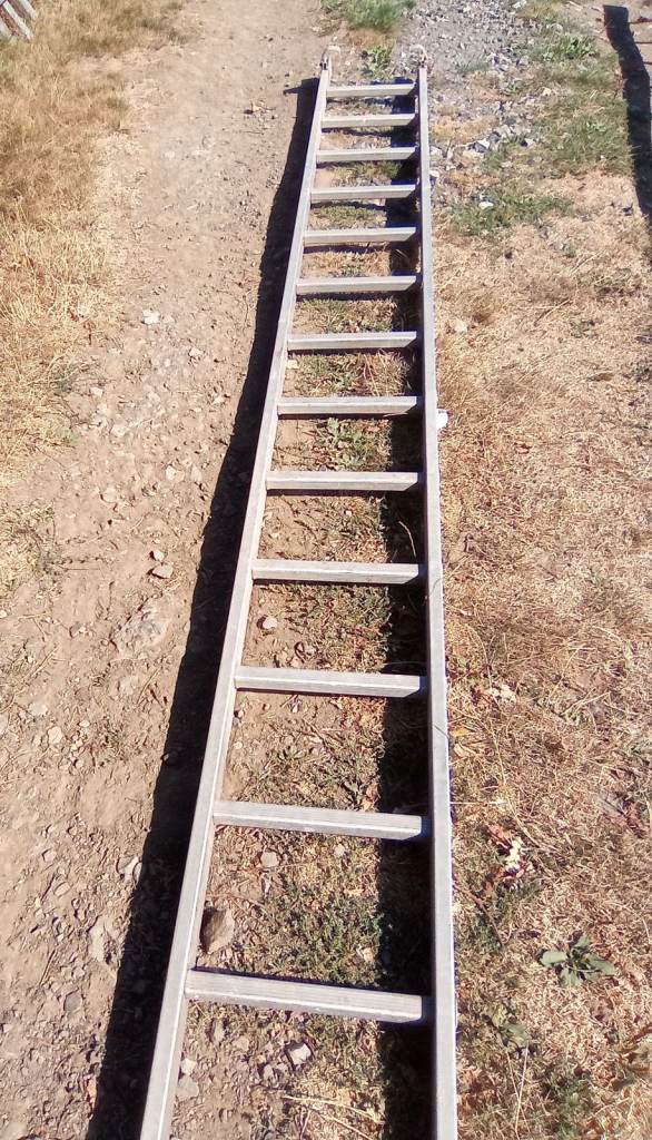 Aluminium Ladder 
