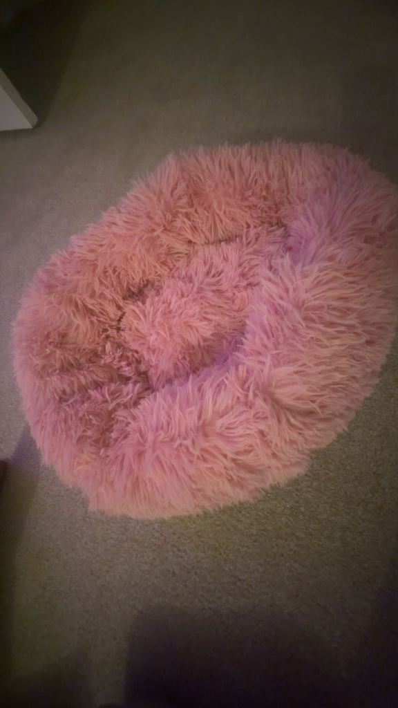 Puppy items