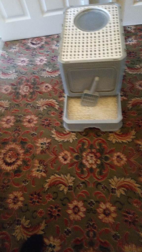 Cat litter box