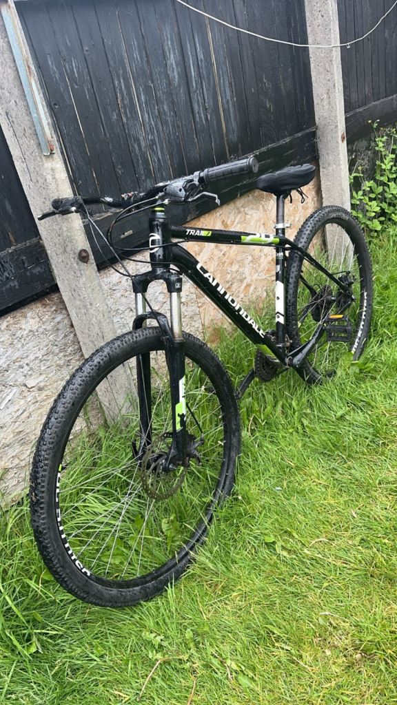 cannondale trail 29 7 bike
