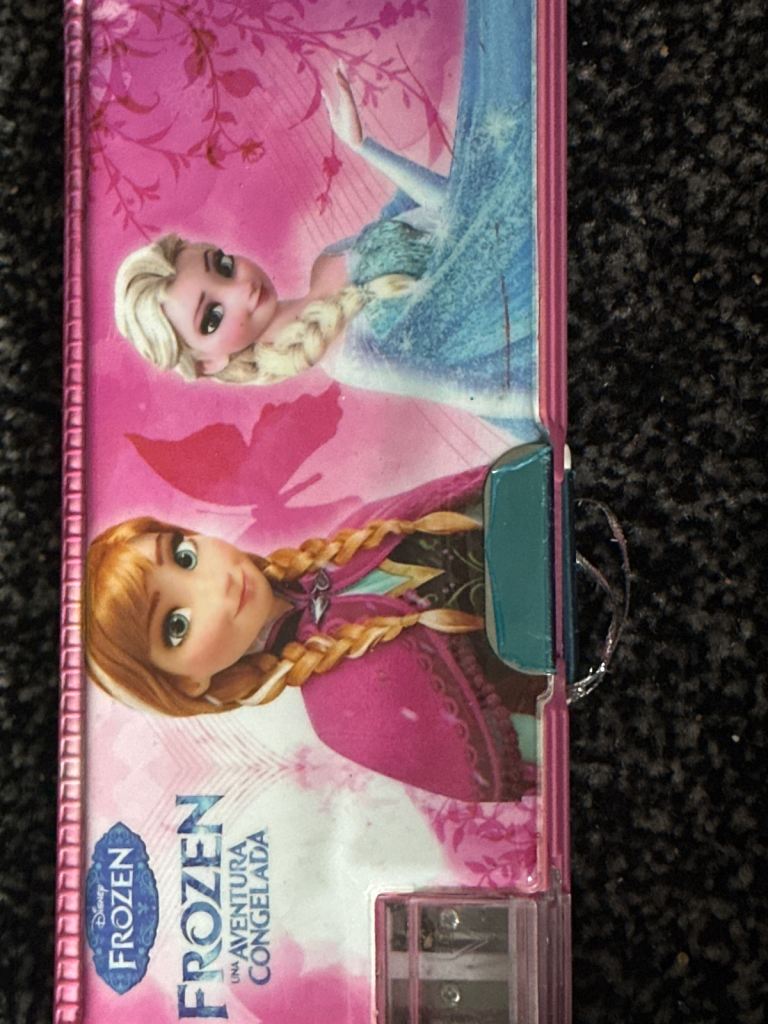 frozen pencil case 