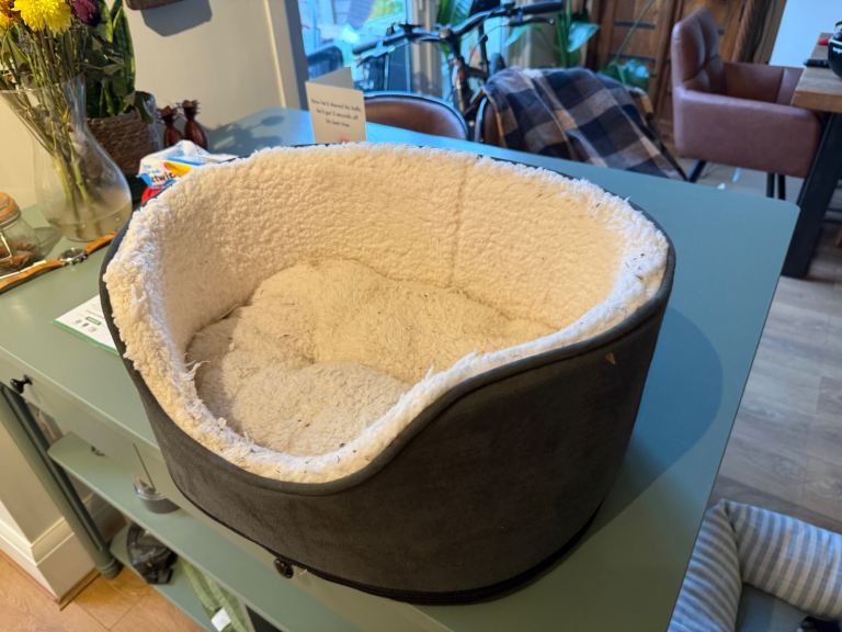 Free dog bed