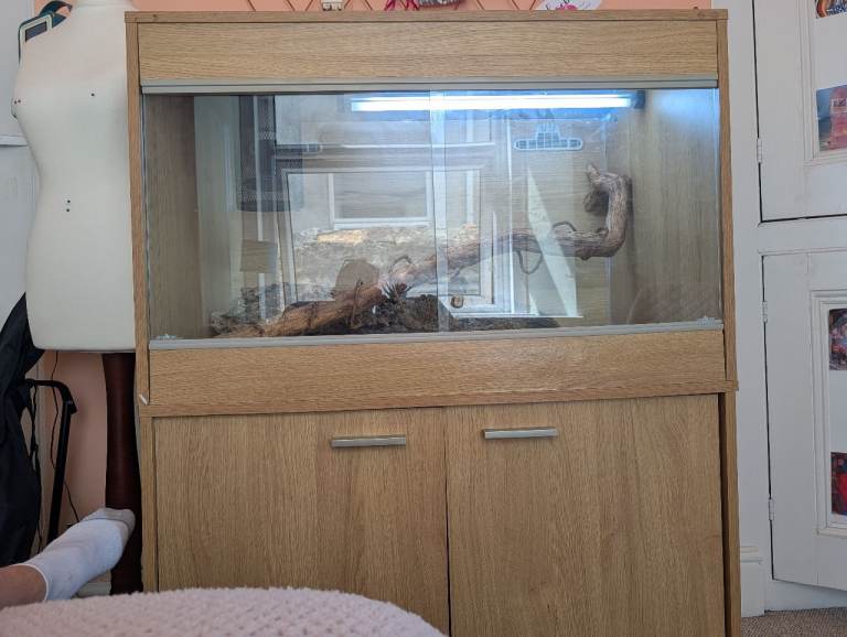 Complete Reptile Bundle: Vivexotic Vivarium & Cabinet (HabiStat Thermostat, Heat/UV & Etc Needs TLC
