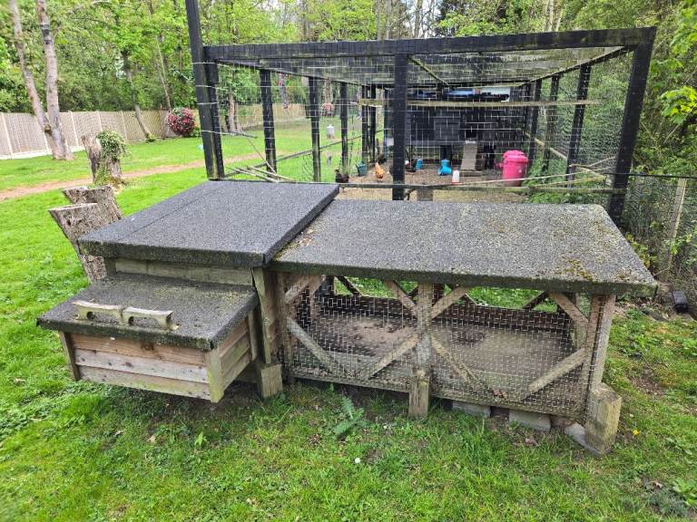 Small animal house with attached run