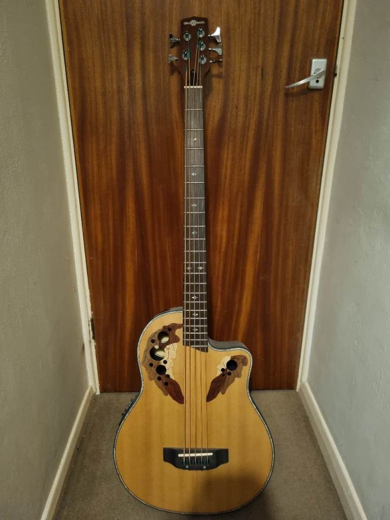 Semi-acoustic 5 String Bass /with amplifier